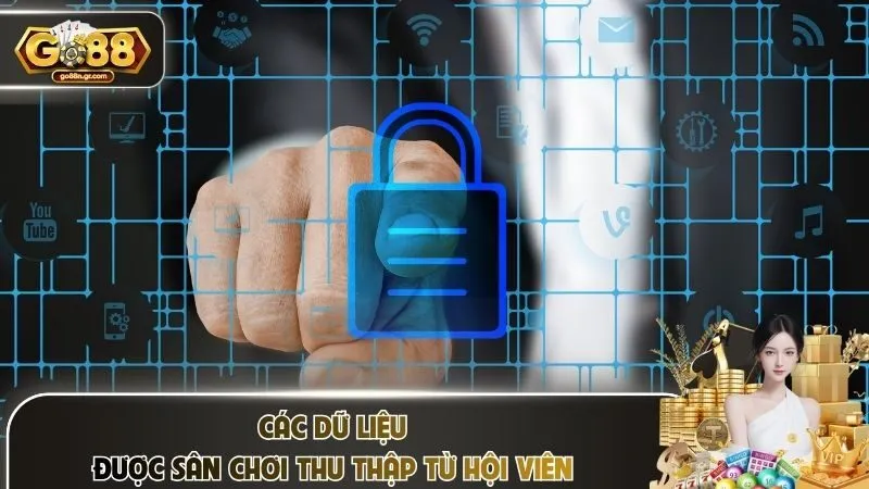 Các dữ liệu được sân chơi thu thập từ hội viên